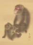 江戸の動物絵大集合！猿描き狙仙三兄弟～鶏の若冲、カエルの奉時も 熊本県立美術館-1