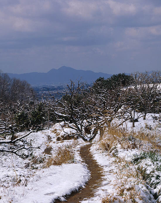 入江泰吉「道」展 入江泰吉記念奈良市写真美術館-3