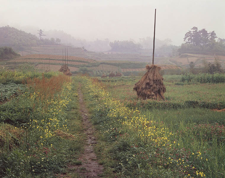 入江泰吉「道」展 入江泰吉記念奈良市写真美術館-5