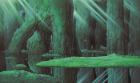 日本のアニメーション美術の創造者 山本二三展 ～天空の城ラピュタ、火垂るの墓、もののけ姫、時をかける少女～ 佐川美術館-1