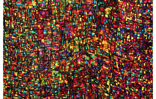 コレクション展1 Nous ぬう 金沢21世紀美術館-2