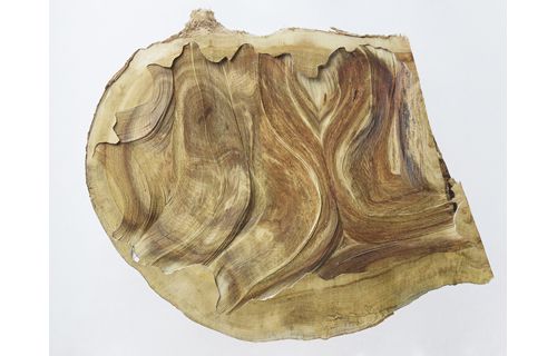 アペルト04 Nerhol　Promenade / プロムナード 金沢21世紀美術館-1