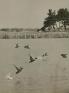 FUJIFILM SQUARE 写真歴史博物館 企画写真展「100年前にカワセミを撮った男・下村兼史 －日本最初の野鳥生態写真家－」 FUJIFILM SQUARE（フジフイルム スクエア）-1