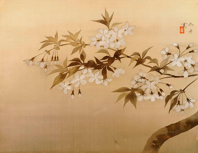 【特別展】 桜 さくら SAKURA 2020 ―美術館でお花見！― 山種美術館-11