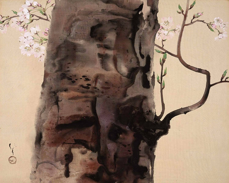 【特別展】 桜 さくら SAKURA 2020 ―美術館でお花見！― 山種美術館-6