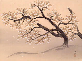 【特別展】 桜 さくら SAKURA 2020 ―美術館でお花見！―