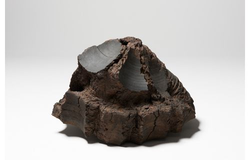 秋山 陽　アルケーの海へ 菊池寛実記念 智美術館-5