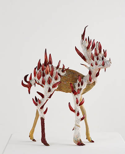 宮川慶子展ー生命は自分自身だけでは完結できないようになっているらしいー 平塚市美術館-1