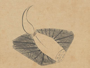  2020展示Ⅱ　わびとサビとはどう違う？