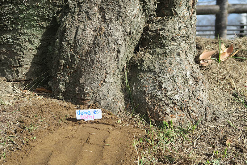 清須ゆかりの作家　富永敏博展「自分の世界、あなたの世界」 清須市はるひ美術館-5