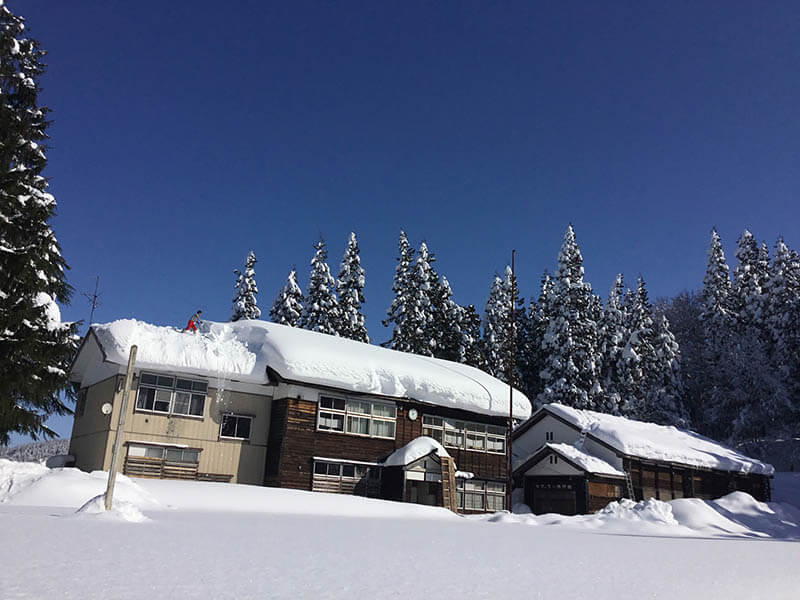 ミティラー美術館コレクション展  インド コスモロジーアート 自然と共生の世界 たばこと塩の博物館-11