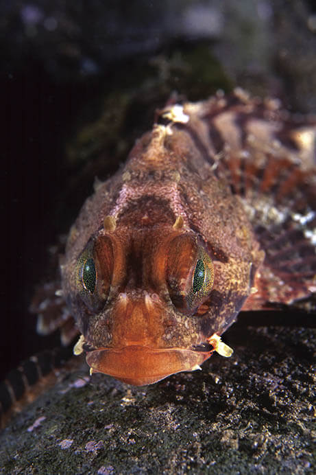 中村征夫写真展　軌 跡 －人･地球･出会い－ 秋田県立近代美術館-3