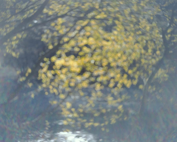 桃源郷通行許可証 埼玉県立近代美術館-3