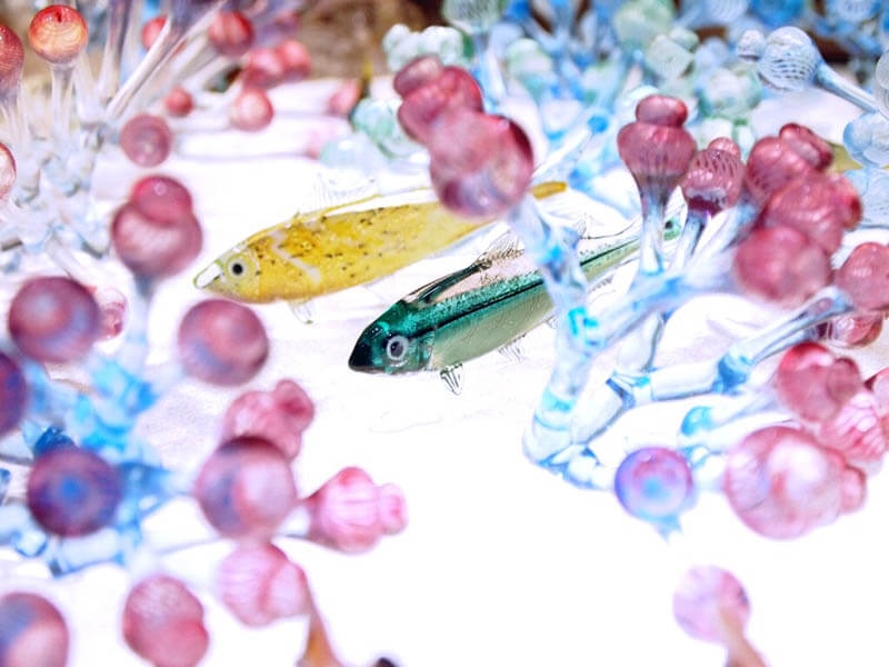 ヴィットリオ・コスタンティーニの世界　－ガラスの宝石　鳥・昆虫・魚が大集合！－ 北一ヴェネツィア美術館-15