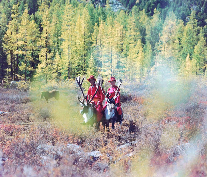 モエレ沼公園グランドオープン15周年記念展　 山内悠 惑星 モエレ沼公園-2