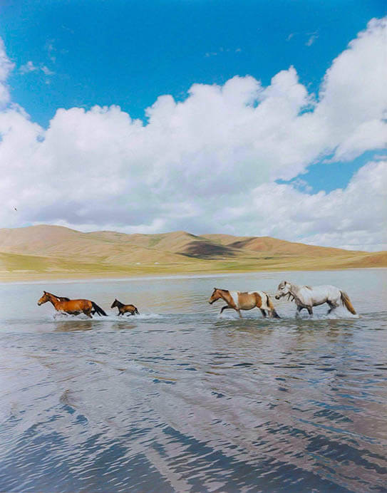 モエレ沼公園グランドオープン15周年記念展　 山内悠 惑星 モエレ沼公園-3