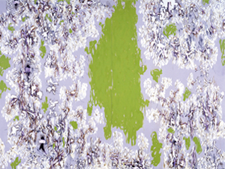 ふたつの柱　ー江戸絵画／現代美術をめぐる