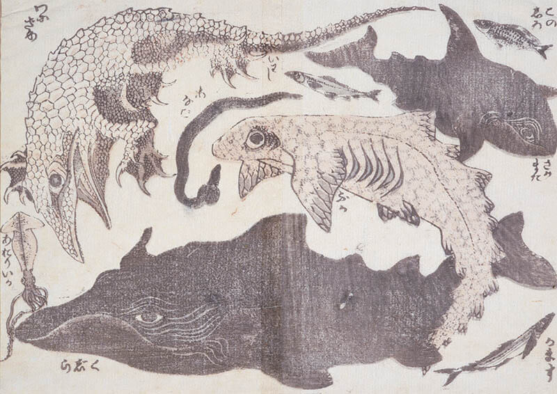  浦上コレクション 北斎漫画 高知県立美術館-2