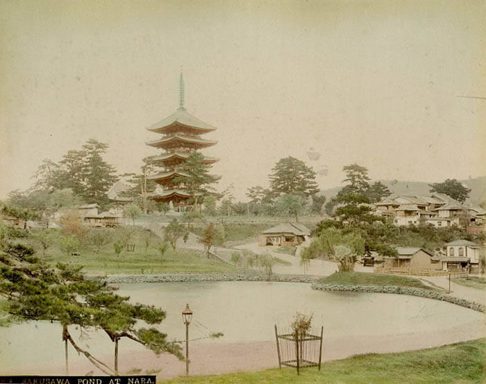 奈良公園開園140年 奈良を観る～ならのシカと昆虫たち～ 奈良市美術館-3