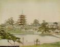 奈良公園開園140年 奈良を観る～ならのシカと昆虫たち～ 奈良市美術館-1
