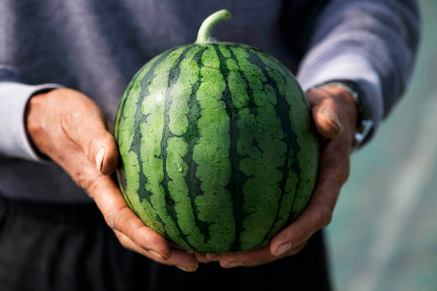 太田フォトスケッチvol.5「#オオタメシ」 太田市美術館・図書館-4