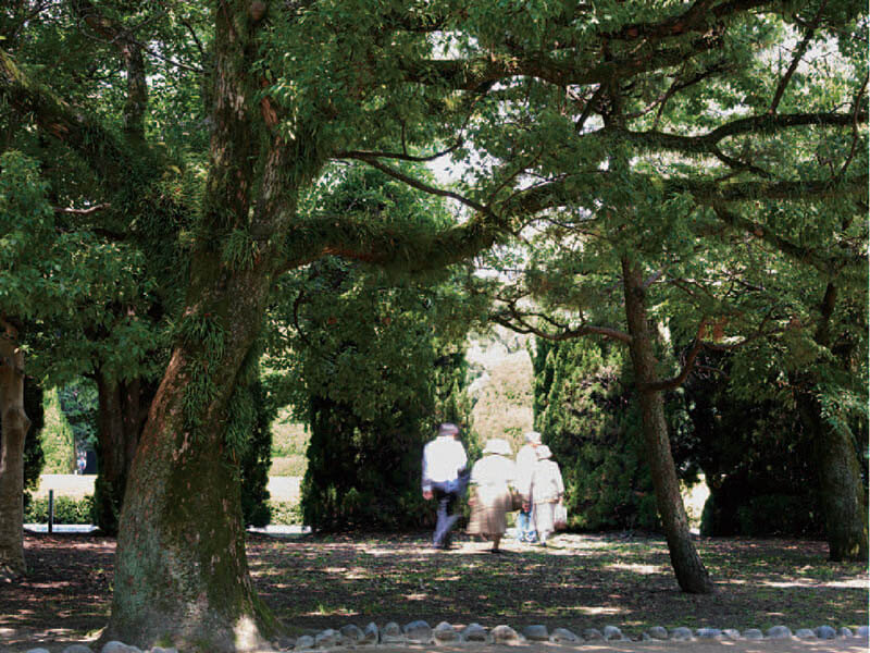 日常の光－写し出された広島 広島県立美術館-5