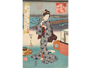 江戸のデザイン帖 ～雛形本と浮世絵に見る意匠の美～