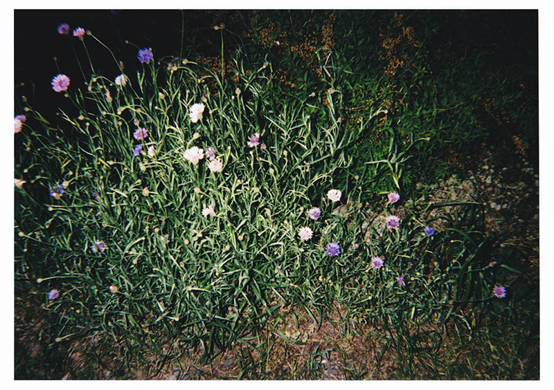 開館3周年記念展「ＨＯＭＥ／ＴＯＷＮ」 太田市美術館・図書館-4