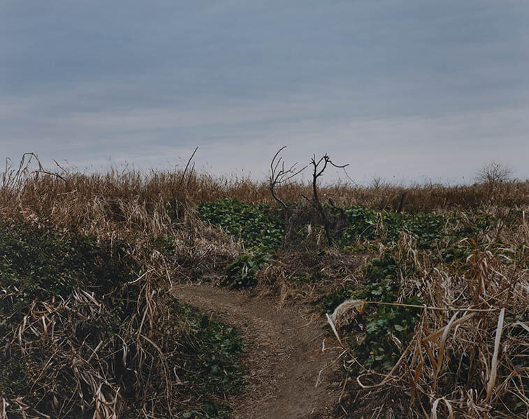 開館3周年記念展「ＨＯＭＥ／ＴＯＷＮ」 太田市美術館・図書館-9