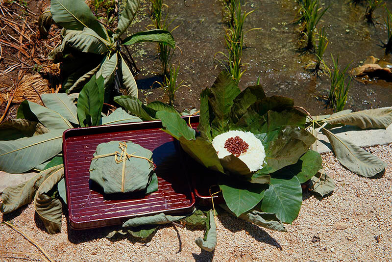 特集展示　日本の食の風景 －「そとたべ」の伝統－ 国立歴史民俗博物館-6