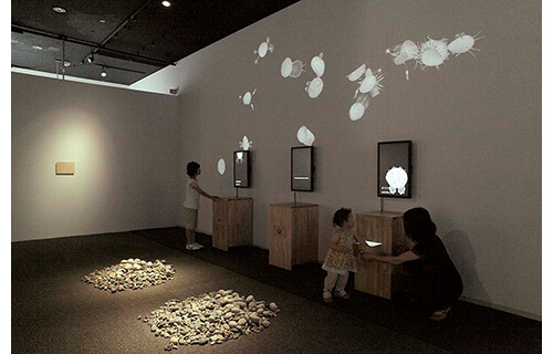 自然と美術の標本展 「モノ」を「みる」からはじまる冒険 横須賀美術館-2