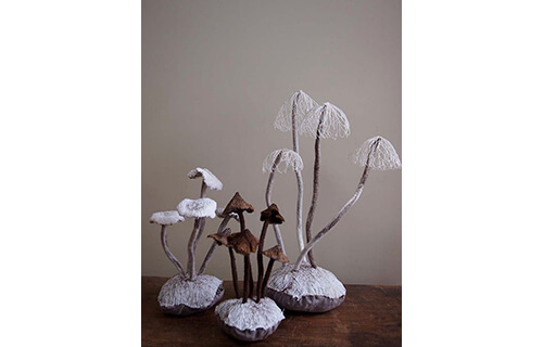 自然と美術の標本展 「モノ」を「みる」からはじまる冒険 横須賀美術館-11