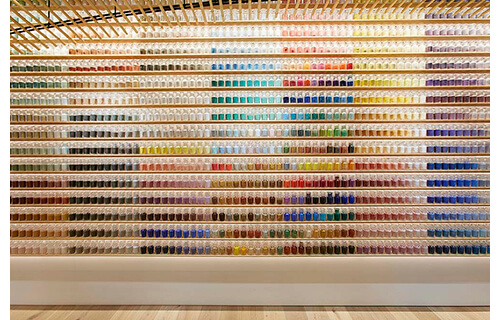 自然と美術の標本展 「モノ」を「みる」からはじまる冒険 横須賀美術館-3