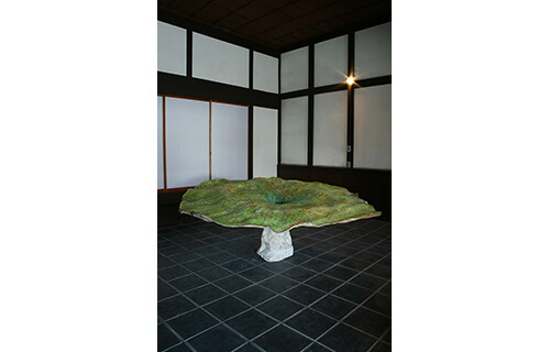 自然と美術の標本展 「モノ」を「みる」からはじまる冒険 横須賀美術館-6