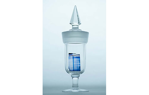 自然と美術の標本展 「モノ」を「みる」からはじまる冒険 横須賀美術館-9