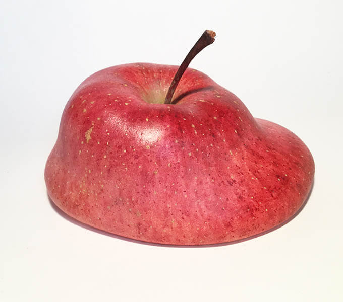りんご宇宙 ―Apple Cycle / Cosmic Seed 弘前れんが倉庫美術館-2
