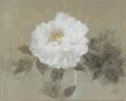 日本画コレクション 自然へのまなざし－絵とこころ BBプラザ美術館-1