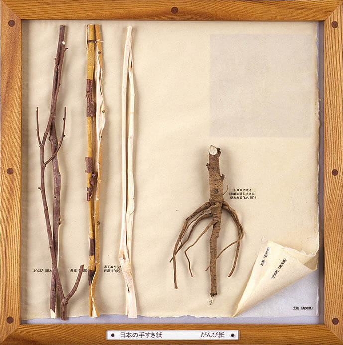 視ることの楽しみ ―画材と素材の引き出し博物館 目黒区美術館-5