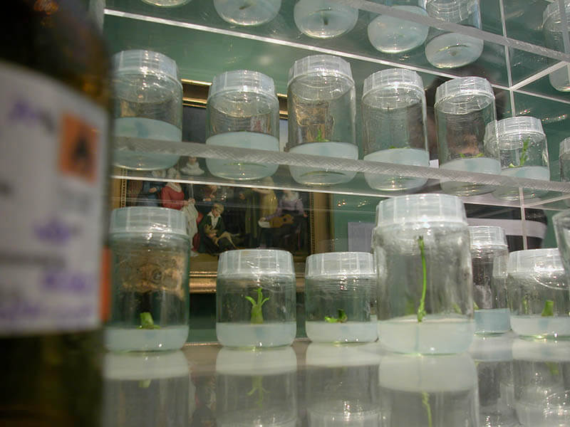 文化庁メディア芸術祭京都展「科学者の見つけた詩－世界を見つめる目－」 京都文化博物館-3