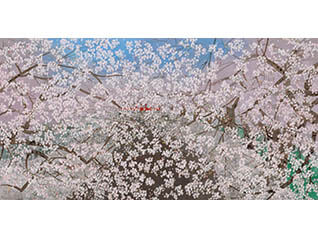 Sato Sakura 桜百景展