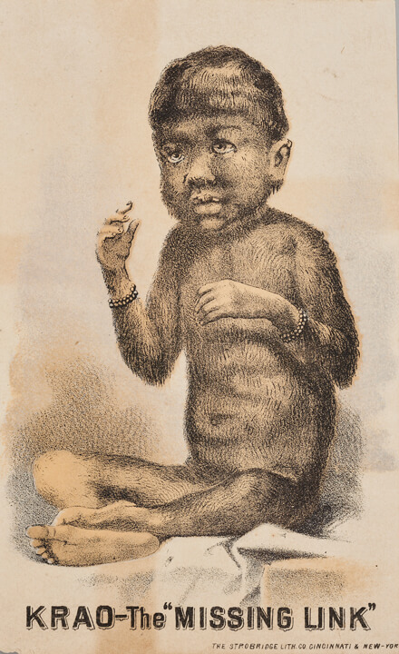 小原真史　イッツ・ア・スモールワールド：帝国の祭典と人間の展示 京都伝統産業ミュージアム　企画展示室-3