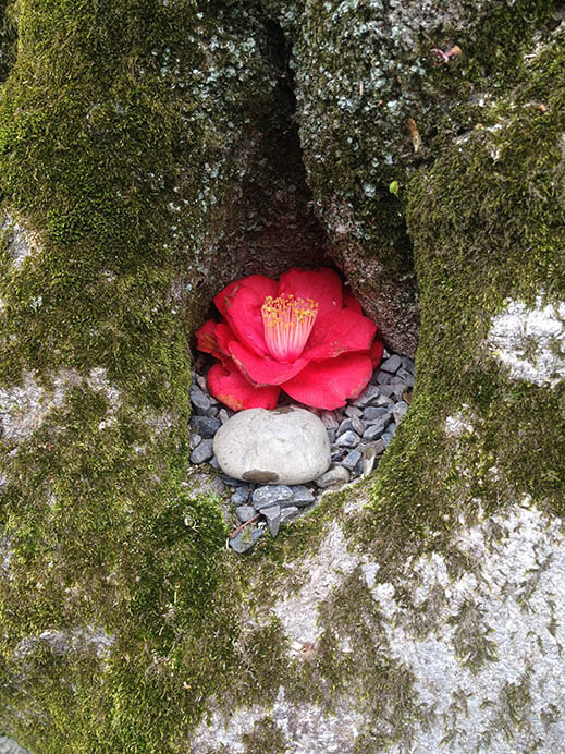 日常のあわい 金沢21世紀美術館-9