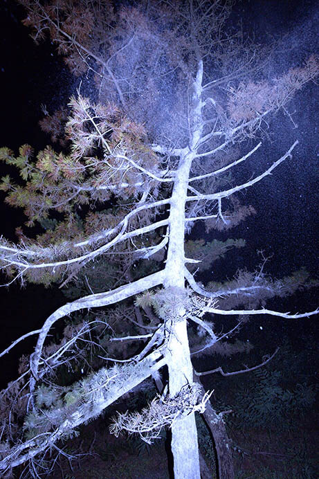 コレクション展2 BLUE 金沢21世紀美術館-11