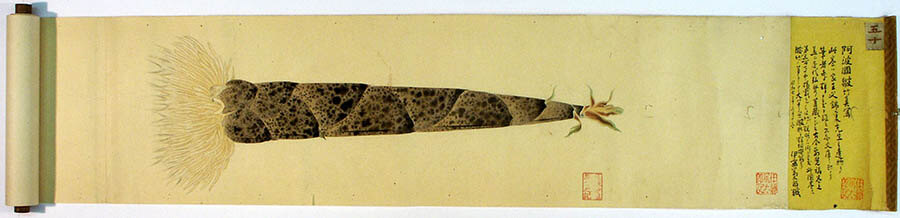 名古屋城からはじまる植物物語 ヤマザキマザック美術館-5