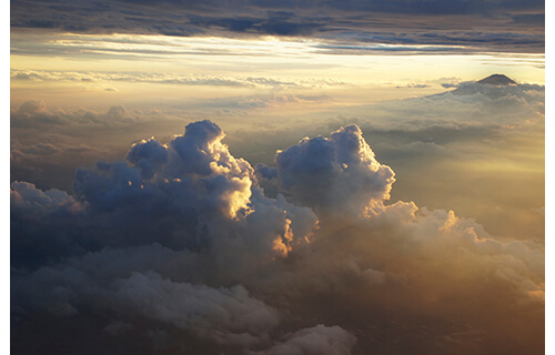 フィオナ・タン ｜ アセント IZU PHOTO MUSEUM-1