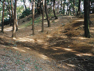 企画展「石神井城　中世豊島氏ここにあり」