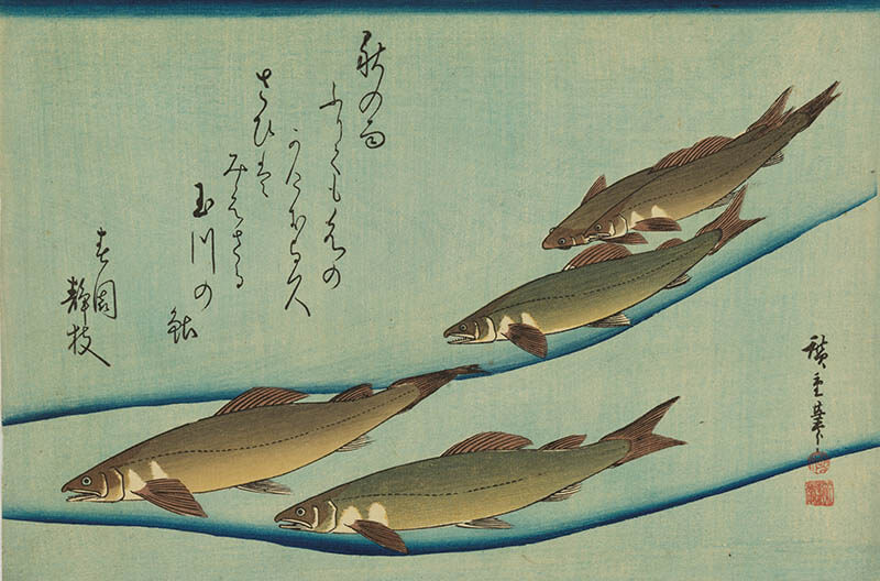 アート魚ッチング ―描かれた水の仲間たち― 海の見える杜美術館-2