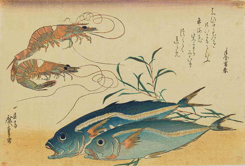 アート魚ッチング ―描かれた水の仲間たち― 海の見える杜美術館-7