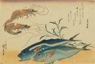 アート魚ッチング ―描かれた水の仲間たち― 海の見える杜美術館-1