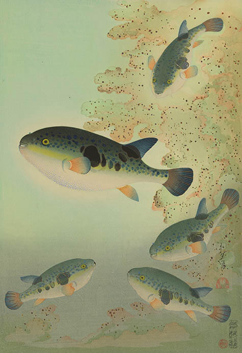 アート魚ッチング ―描かれた水の仲間たち― 海の見える杜美術館-5